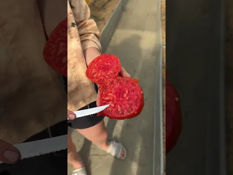 Алтайский сахар