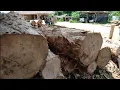 Download Lagu Kayu Galam Super Jumbo, Ali Setan Hampir Nyerah.