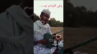 المبدع ود الشريف اني ولادة مأسي 