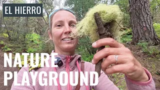 El Hierro: this might just be our new favorite of the Canary Islands