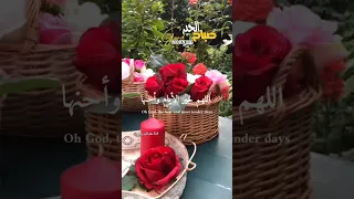 اللهم خير الأيام وأحنها اللهم خير الأشخاص وألطفهم صباح الورد صباح الخير مساء الورد مساء الخير 