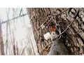 How to set a Tree Set trap for Squirrel - Conibear 110