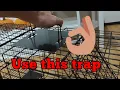 Unboxing and Reviewing the VASALAID Live Animal Trap Cage