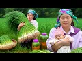 Download Lagu How to Harvest Giant Green Onion and Make Onion Kimchi to Sell at the Market | LTC - Free Bushcraft