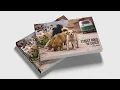 Download Lagu Straathonden van Cusco 🐾 | Fotoboek \u0026 Kickstarter voor het opvangcentrum