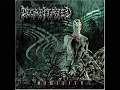 Decapitated - Nihility (Anti-Human Manifesto)