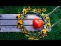 Лавика - Серденько (СОНЯчна версія)