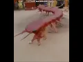 Download Lagu Jet Li Caught by Surprise of Centipede Dance #shorts
