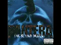 Hard Lines Sunken Cheeks - Pantera