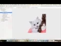 16 Programmatically set image on ImageView