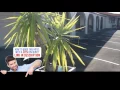 Manfeild Park Motel Feilding New Zealand Review