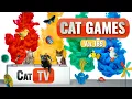 Lagu CAT Games | Ultieme Cat TV-compilatie Vol 189 | 8 UUR 🐝🐞🦋🦎🦜🐜🐭🧵