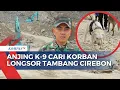 Download Lagu Aksi 3 Anjing K-9 dalam Pencarian Korban Longsor Tambang di Cirebon, 2 Jasad Ditemukan