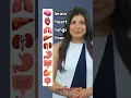 Download Lagu Interne organen van het menselijk lichaam - Engelse woordenschat