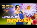BUNGA DAHLIYA - LISTEN SAFANA - OSAMA MUSIK // ANIJAYA STUDIO LIVE