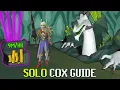 LEARN CHAMBERS MAKE BILLIONS - Solo CoX Guide