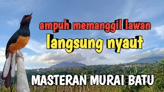 Download MASTERAN MURAI BATU paling ampuh memanggil lawan angsung nyaut MP3