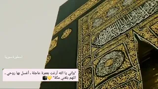 ليتني في سرب الحمام   دندنها