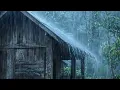 Deep Sleep Starts Here | Heavy Rain and Soft Thunder ASMR