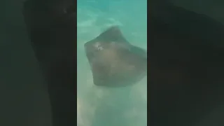 Most beautiful island in the world? #sailingfamily #beautiful #amazing #adventure