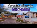 Arcadia Florida - MLK HOODS