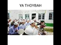Download Lagu Sekumpul bersholawat yathoibah