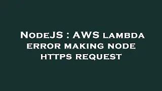 NodeJS AWS lambda error making node https request