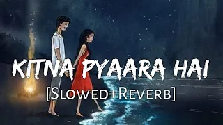 Download Kitna Pyaara Hai Ye Chehra [Slowed+Reverb] - Udit Narayan, Alka Yagnik | Raaz | Lofi Music Channel MP3