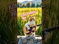 Download Lagu Main gitar di pinggir sawah, tingkah hewan yang lucu #shorts #cat #shortvideo #fuunyanimals