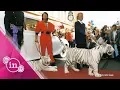 Siegfried Roy Darum griff der Tiger damals wirklich an