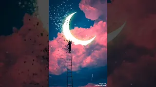 فى البعد لوعة ياسين التهامى 