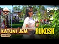 Download Lagu KATUNI JEM – Bukosh - Gjysma në gurbet, gjysma e mbajnë gjallë katunin! | Episodi 91