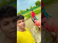 Download Lagu Mujhe dil ka rog #hindisong #shorts #ytshorts❤️❤️❤️