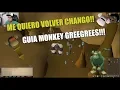 OSRS GUIA - CONSIGUE LOS MONKEY GREEGREES