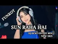 Download Lagu FUNKOT - SUN RAHA HAI - DJ DEWI ON THE MIX - NEW 2025  MP3