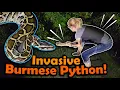 We Found a HUGE BURMESE PYTHON Herping in Florida Part 2
