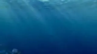 ياسمكة بسرعة قوليلي دندنها