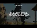 Wild WorldCat - Stevens (Sub. Español) VENOM 3: El Último Baile