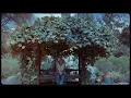 WRABEL - beautiful day (official lyric video)