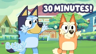 Bluey and Bingo Have Magic Powers! 🪄🔮 | Magic + MORE! ✨ | Bluey
