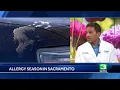 Allergy Season in Full Bloom in Sacramento