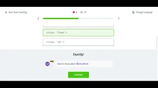 15 Data Type Checking Introduction to Python Sololearn 2026