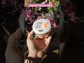 Download Lagu Lakme Peach milk cream 🌸💐 #youtubeshorts #ytshort #lakme #winter #moisturizer