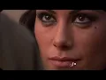 ياحبيبي ترا - فلاح المسردي  | (حصرياً) 2024