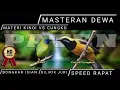Download Lagu 10 JAM!! MASTERAN CUCAK CUNGKO VS CUCAK KINOI - Speed Rapat Variasi Roll Tembak - MASTERAN DEWA