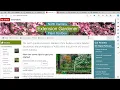 Getting the Most out of the Plant Toolbox