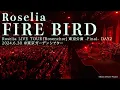 Download Lagu 【公式ライブ映像】Roselia「FIRE BIRD」（Roselia LIVE TOUR「Rosenchor」東京公演 -Final- DAY2より）