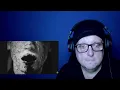 Fit For A King - Dirt Reaction | First Listen