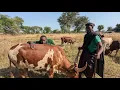 Download Lagu MAPUGE _UJUMBE WA SIFA ZA NJILE=MBASHA STUDIO 2025_