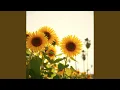 Download Lagu Sunshine Freedom
